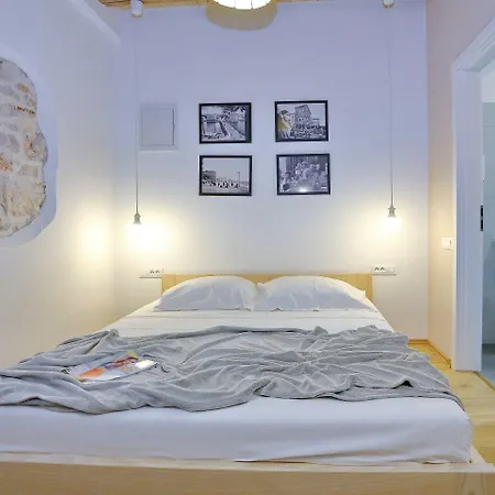 Guverna New Zadar
