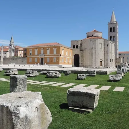 Guverna New * Zadar
