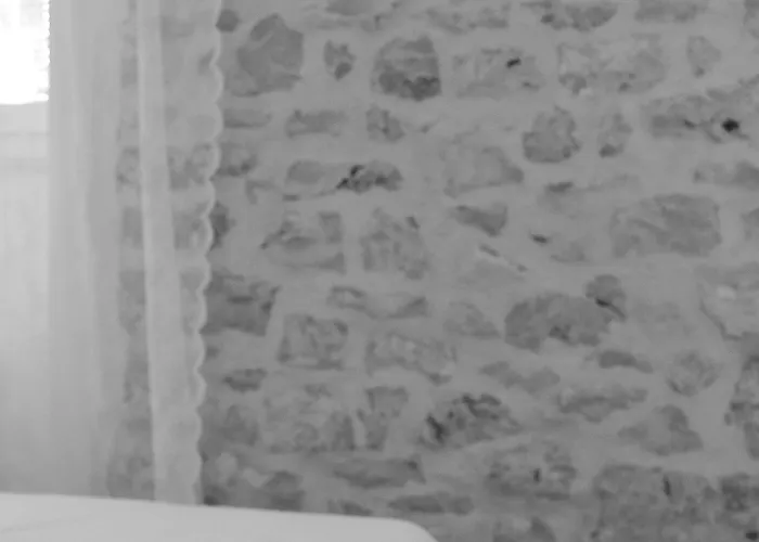 Guverna New * Ζαντάρ