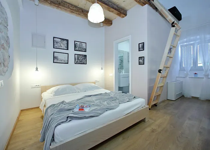 Guverna New * Ζαντάρ