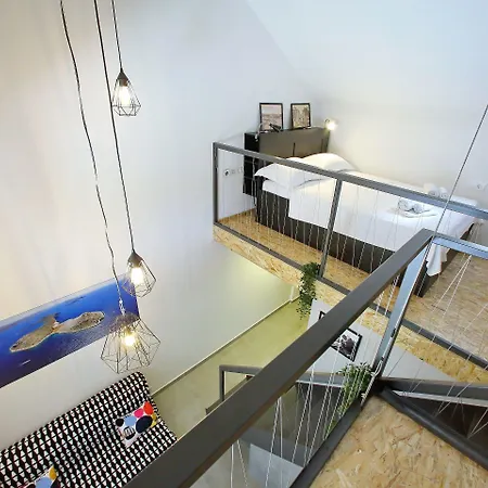 Guverna New זאדאר