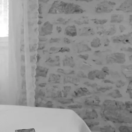 Guverna New * זאדאר